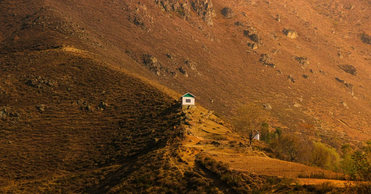 Dağ eteklerinde tiny house, çam ormanları arasında
