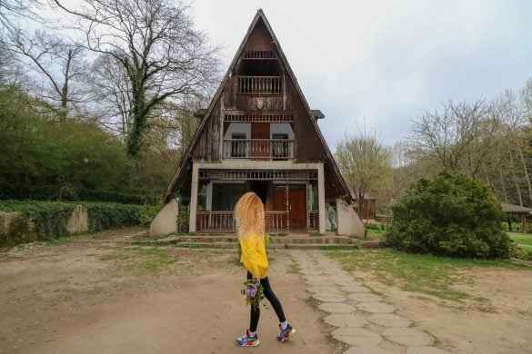 İstanbul Belgrad Ormanı Gezi Rehberi ve Detaylar