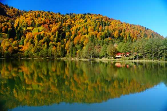 Artvin Gezilecek Yerler