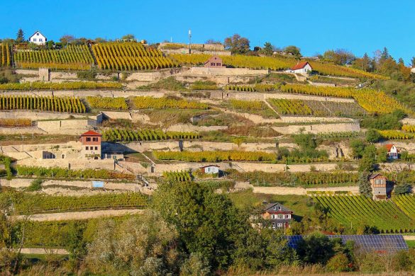 Ege’de Bağ Evi Yapabileceğiniz En Şirin 10 İlçe