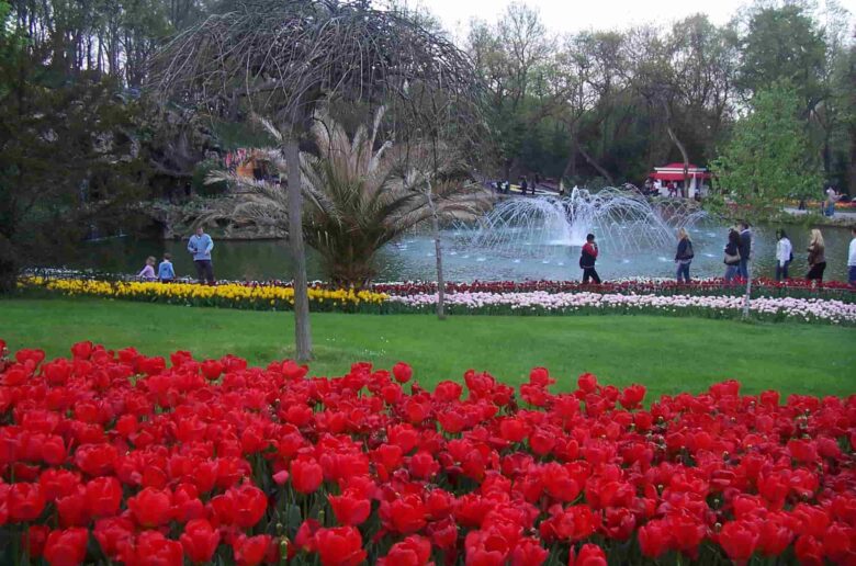 İstanbul’da Bulunan Parklar ve Korular