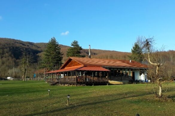 Düzce’de Konaklayabileceğiniz Bungalov Evler