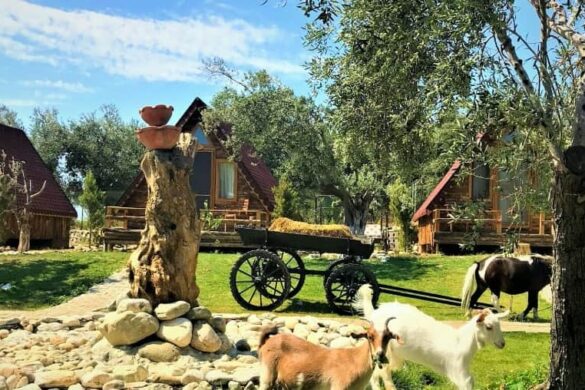 Kaz Dağları’nda Bungalov Rezervasyonu Yapabileceğiniz Konaklama Yerleri