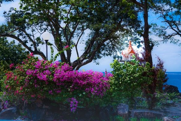 Koh Phi Phi Adası Gezi Rehberi