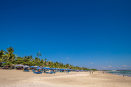 Bali Adası’nda Yapılabilecek En Güzel 5 Aktivite 